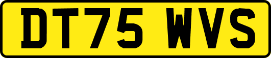 DT75WVS