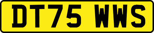 DT75WWS
