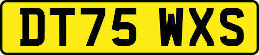 DT75WXS