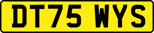 DT75WYS