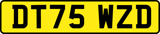 DT75WZD