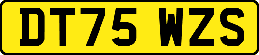 DT75WZS