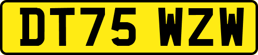 DT75WZW