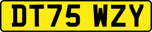 DT75WZY