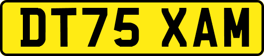 DT75XAM