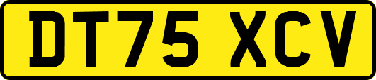 DT75XCV