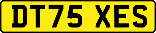 DT75XES