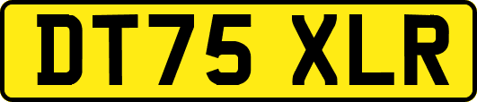 DT75XLR