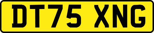 DT75XNG