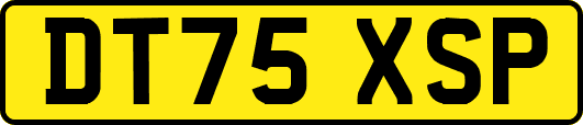 DT75XSP