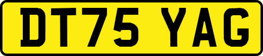 DT75YAG