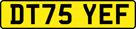 DT75YEF