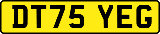 DT75YEG