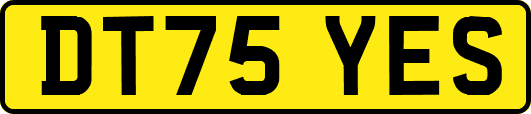 DT75YES