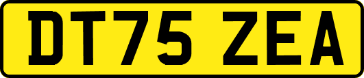 DT75ZEA