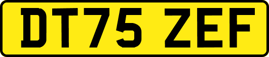 DT75ZEF