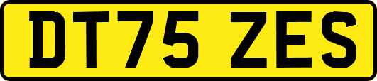 DT75ZES