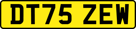 DT75ZEW