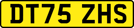 DT75ZHS
