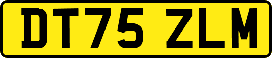 DT75ZLM