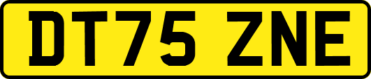 DT75ZNE