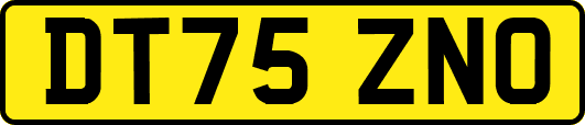 DT75ZNO