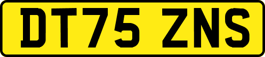 DT75ZNS