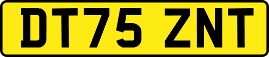 DT75ZNT