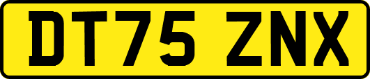 DT75ZNX