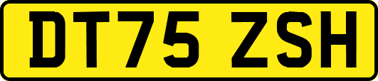 DT75ZSH