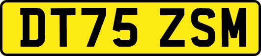 DT75ZSM