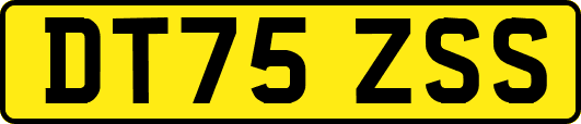 DT75ZSS