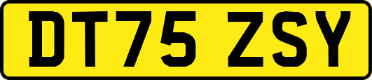 DT75ZSY