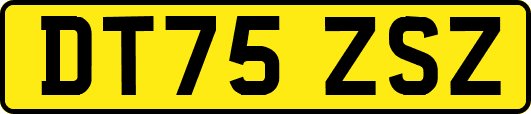 DT75ZSZ