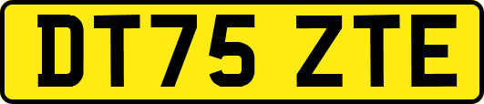 DT75ZTE