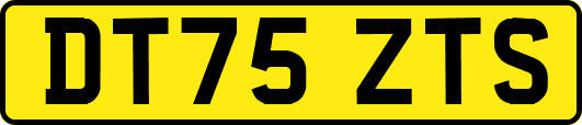 DT75ZTS