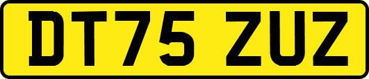 DT75ZUZ