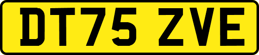 DT75ZVE