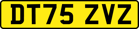 DT75ZVZ