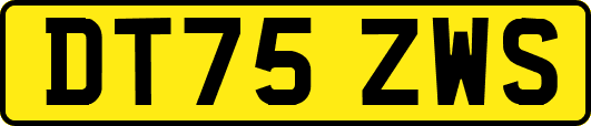 DT75ZWS