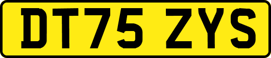 DT75ZYS