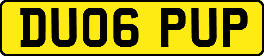 DU06PUP