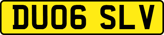 DU06SLV