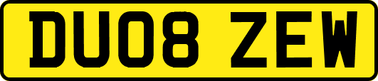 DU08ZEW
