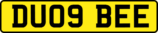 DU09BEE