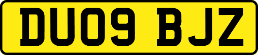 DU09BJZ