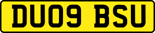 DU09BSU