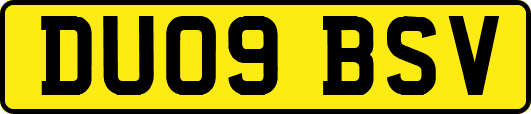 DU09BSV
