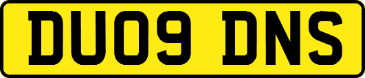 DU09DNS