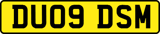DU09DSM